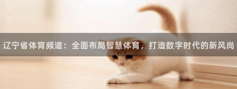 玩球直播nba体育直播：辽宁省体育频道：全面布局智慧体育，打造数字时代的新风尚