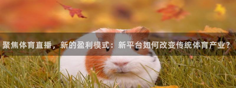 nba玩球直播：聚焦体育直播，新的盈利模式：新平台如何改变传统体育产业？