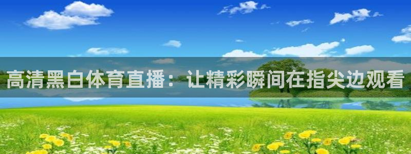 nba直播玩球直播：高清黑白体育直播：让精彩瞬间在指尖边观看