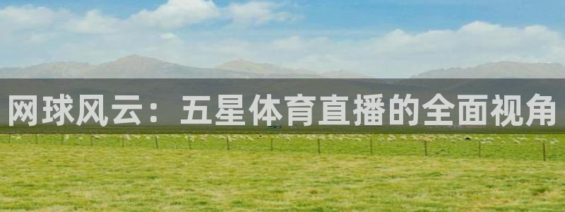 玩球直播：网球风云：五星体育直播的全面视角