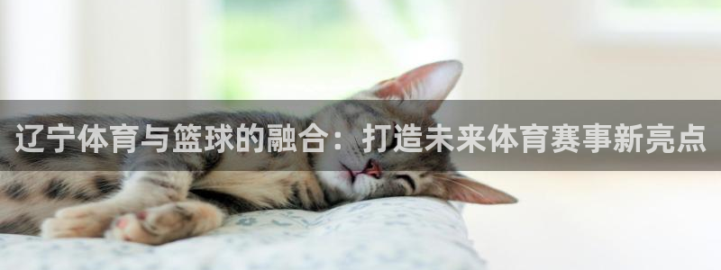 小罗玩球视频：辽宁体育与篮球的融合：打造未来体育赛事新亮点