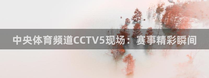 玩球体育直播吧