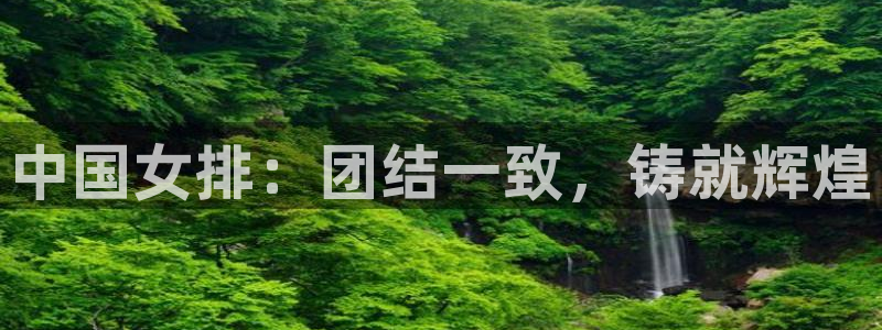 玩球球视频