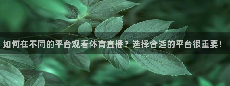 360玩球直播